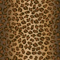 Leopard pattern Royalty Free Stock Photo