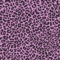 Leopard pattern. Purple fashion texture Royalty Free Stock Photo