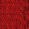 Leopard pattern. Seamless print. Realistic animal texture. Black and red spots on a beige background. Abstract repeating