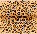 Leopard pattern seamless repeating texture Royalty Free Stock Photo