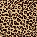 leopard pattern seamless vector eps file, printable and editable vector size and color