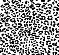 Leopard pattern