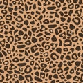 Leopard pattern. Seamless vector print. Realistic animal texture. Brown spots on a beige background. Royalty Free Stock Photo