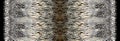 Leopard pattern.Silk scarf design, fashion textile. Royalty Free Stock Photo