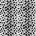 Leopard pattern texture repeating seamless monochrome black and white. Fashion and stylish background eps 10 Royalty Free Stock Photo