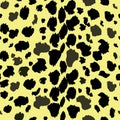 Leopard pattern texture repeating seamless monochrome black and white. Fashion and stylish background. Fall Winter 2018 Royalty Free Stock Photo