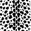 Leopard pattern texture repeating seamless monochrome black and white. Fashion and stylish background Royalty Free Stock Photo