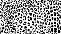 Leopard. Pattern texture repeating seamless monochrome black & white. Royalty Free Stock Photo