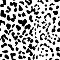 Leopard. Pattern texture repeating seamless monochrome black & white. Royalty Free Stock Photo