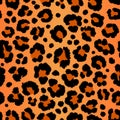 Leopard pattern texture repeating seamless orange black fur print skin Royalty Free Stock Photo