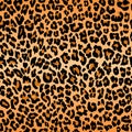 Leopard pattern texture repeating seamless orange black fur print skin Royalty Free Stock Photo