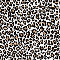 Leopard pattern texture repeating seamless orange black fur print skin Royalty Free Stock Photo