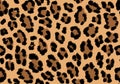 Leopard pattern texture repeating seamless orange black. Vector background. Repeat Royalty Free Stock Photo