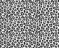 Leopard pattern texture repeating seamless orange black. Vector background. Repeat. Abstraction. Skin and leopard fur. Wallpaper o Royalty Free Stock Photo