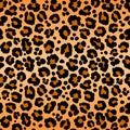 Leopard pattern texture repeating seamless orange black fur print skin Royalty Free Stock Photo