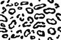 Leopard pattern. Trendy seamless vector print. Animal texture. Black spots on white background.