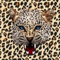 Leopard pattern vector