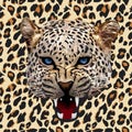 Leopard pattern vector Royalty Free Stock Photo