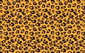 Leopard pattern on orange background. illustration