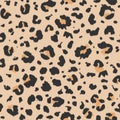 Vector leopard pattern. Wildlife seamless repeat. Jaguar fur safari seamless backdrop. Hand-drawn animal fur pattern. Luxury