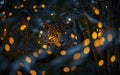 Leopard peeking out of bushes at night, AI-generated. Royalty Free Stock Photo