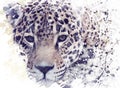 Leopard Portrait Watercolor