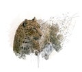 Leopard Portrait watercolor Royalty Free Stock Photo