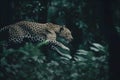 A leopard predator jumps out of the green jungle, close-up. Carnivore animal hunter of the wild. AI generated.