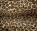 Leopard print 2