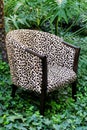Leopard Print Chair Royalty Free Stock Photo