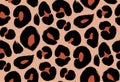 Leopard print, cheetah seamless pattern, jaguar texture. Jungle exotic background. Leo repeat vector design. Wild Royalty Free Stock Photo