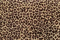 Leopard print fabric pattern wallpaper sample