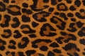 Leopard print pattern