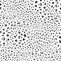 Leopard seamless pattern. Black and white vector background. Animal skin print Royalty Free Stock Photo