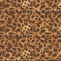 Leopard print pattern featuring irregular black and dark brown spots on a tan Royalty Free Stock Photo