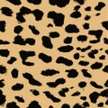 Leopard print pattern. Repeating seamless vector animal background Royalty Free Stock Photo