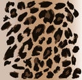 Leopard print pattern. Repeating seamless vector Royalty Free Stock Photo