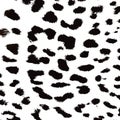 Leopard print pattern. Repeating seamless vector Royalty Free Stock Photo