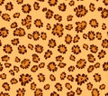 Leopard Print Pattern Seamless Texture for Design Projects Royalty Free Stock Photo