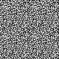 Leopard print repeat pattern design with white background. Great for home decor, wrapping, fashion, scrapbooking