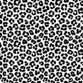 Leopard print seamless background pattern. Black and white