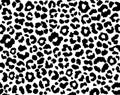 Leopard print seamless pattern, Cheetah repeating pattern, black leopard spots, Vector illustration Royalty Free Stock Photo