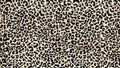 Leopard print. Seamless pattern