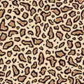 Leopard print. Seamless pattern. Repeating animal spot. Brown graphic background. Repeated skin jaguar design prints. Texture Royalty Free Stock Photo