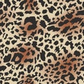 Leopard print, seamless pattern. Skin of leopard. Fashionable fabric, animal background. Animal spots. Vector Royalty Free Stock Photo