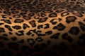 Abstract Leopard print with selective focus, black leopard spots texture design, dark leopard background