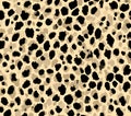 Leopard Print Texture Seamless Pattern for Design Projects Royalty Free Stock Photo