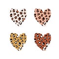 Leopard print textured hand drawn brush stroke heart shape set . Abstract paint spot with wild animal pattern texture. Royalty Free Stock Photo