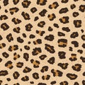 Jaguar, leopard print. Vector seamless pattern. Realistic animal skin background Royalty Free Stock Photo