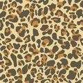 Leopard print, vector  seamless pattern. Skin of cheetah, leopard. Fashionable fabric, elegant animal background. Royalty Free Stock Photo